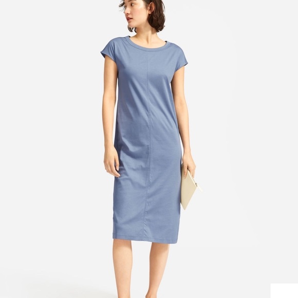 Everlane Dresses & Skirts - Everlane The Lux Cotton Tee Dress Side Slit Blue